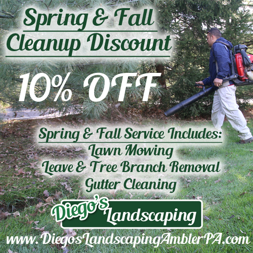 Diegos-Special-Fall-Spring-Cleanup