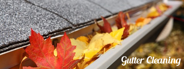 Gutter-cleaning-services-Ambler-PA
